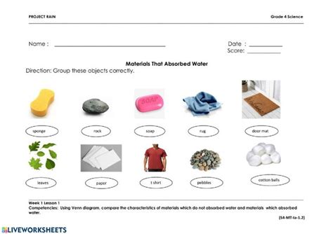 Materials that absorb water Interactive worksheet | Science worksheets, Absorbent, Worksheets