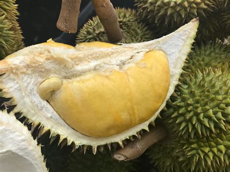 Where to Eat Durian in Davao City | Adventuring Foodie