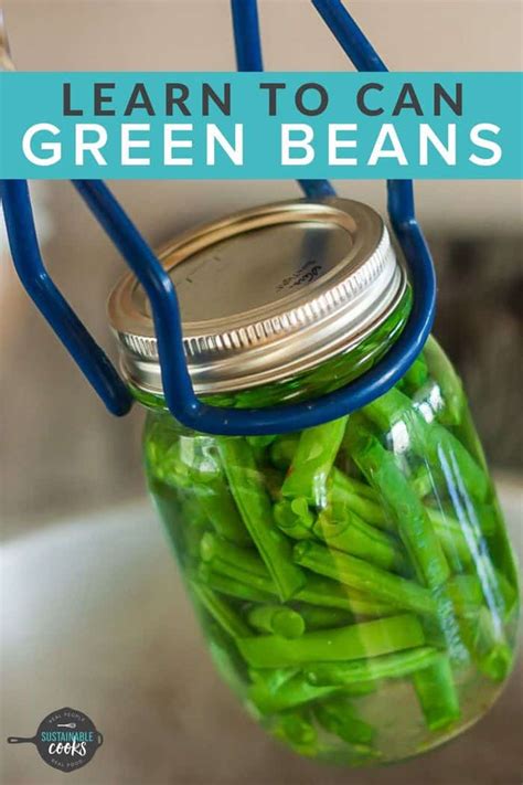 How to Can Green Beans {Canning Green Beans} - Sustainable Cooks