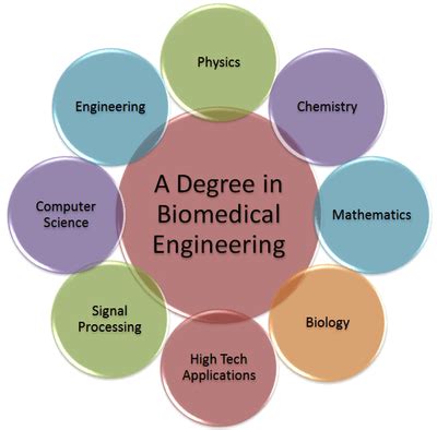 My Own, Evolving Definition of Biomedical Engineering! - Viterbi Voices