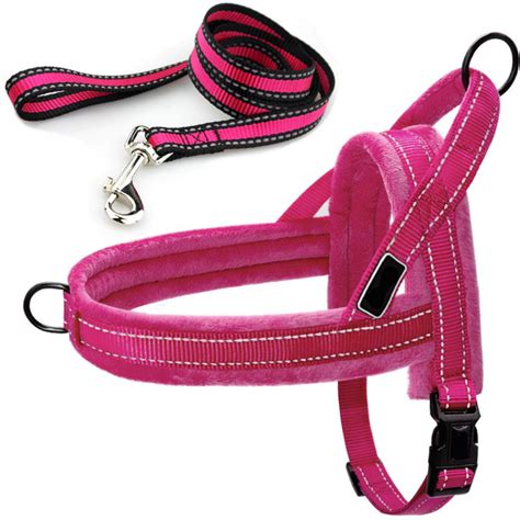 Easy To Walk Set - Reflective Dog or Cat Dual Clip Harness with Soft H – TRAITS