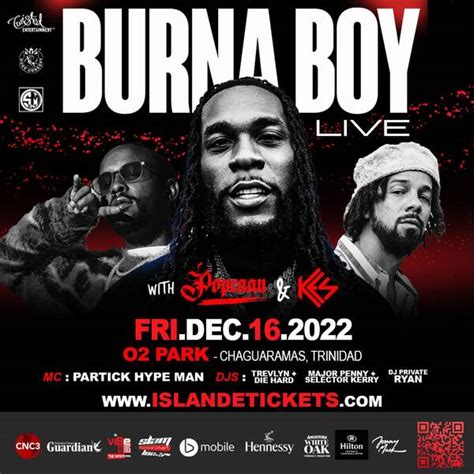 Burna Boy Tour 2025 - Nerty Merrili