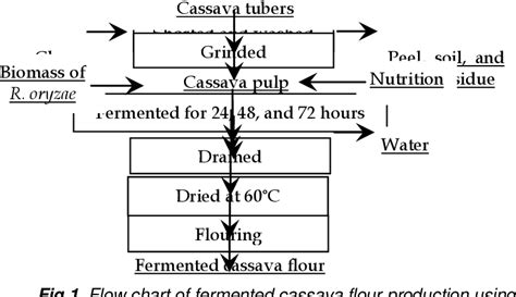 Figure 1 from Effect Of Rhizopus Oryzae Fermentation On Characteristics Of Fermented Cassava ...