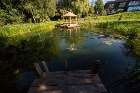 New - Pond Conversion - Woodhouse Natural Pools | Natural swimming pools, Natural pool, Swimming ...