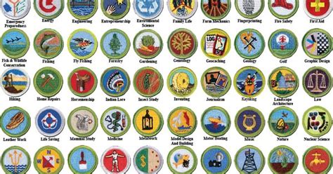 Scout Merit Badges Badges Scout - lesamiesdemayalabeille