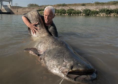 Is 'Dark Waters' Star Jeremy Wade Married? Plus More on the Animal ...