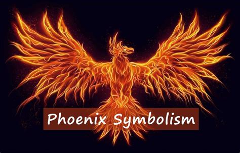 Phoenix Symbolism – what does phoenix symbol stand for? | Phoenix ...