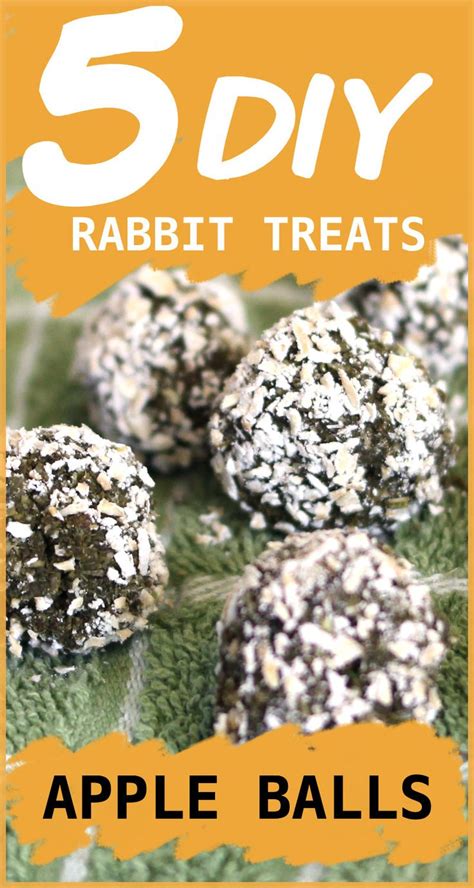 5 Homemade Rabbit Treats To Make For Your Bunny | Homemade rabbit ...