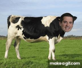 Devin Nunes Cow on Make a GIF