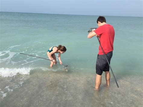 How to Find Shark Teeth at Venice Beach #LoveFL - Classy Mommy