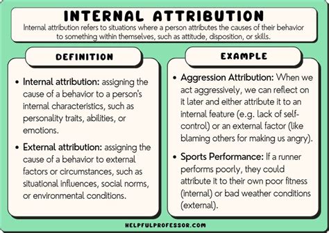 Internal Attribution: 10 Examples and Definition (2024)