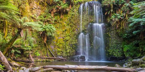 Things To Do In Great Otway National Park