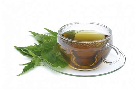 How to Make Cannabis Tea | Cannafo News | Marijuana Information ...