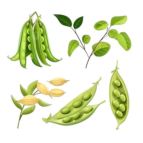 Soybean Plant Pea Plant Pod Vegetable Legume Generative Ai, Vegetable, Legume, Soybean PNG ...