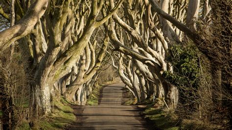 Game Of Thrones Filming Locations Northern Ireland | Ballygally Castle