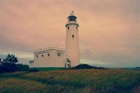 Hurst Point Lighthouse and Hurst Castle Editorial Stock Image - Image of point, outside: 80516214