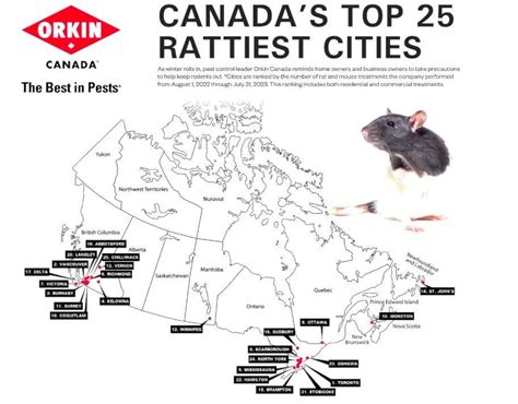 Chilliwack ranked least ratty city in Canada in annual list - The Chilliwack Progress