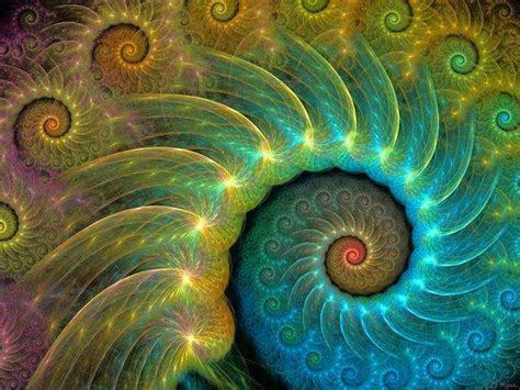 espiral | Spiral art, Fibonacci spiral art, Fractals