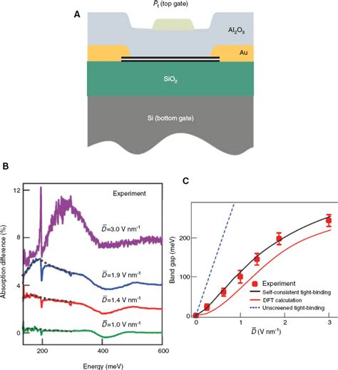 Bilayer graphene: physics and application outlook in photonics