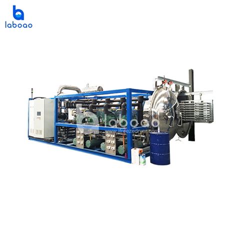 China 1000kg Large Industrial Freeze Dryer For Meat Manufacturer and Supplier - LABOAO