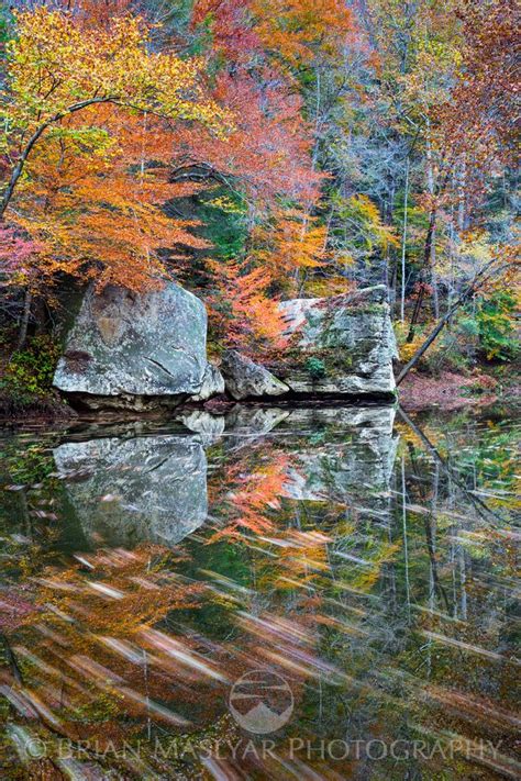 Slipstream of Color, Red River Gorge, KY. Fall color along the river. Have you ever been here ...