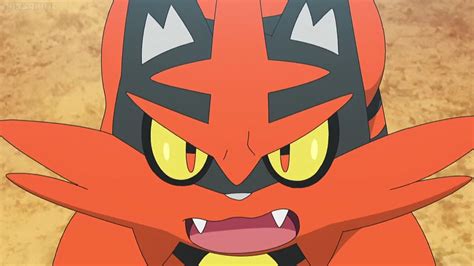 Torracat Screenshot | Pokemon, Character, Superhero