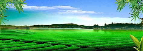 Highland Field Landscape Agriculture Background