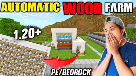 How to make Automatic wood farm In Minecraft 1.20 | Automatic wood farm Minecraft Bedrock/PE ...