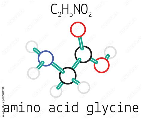 C2H5NO2 glycine amino acid molecule Stock-Vektorgrafik | Adobe Stock