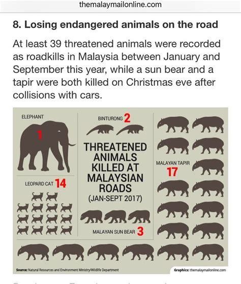 Endangered Species in Malaysia - LewisilIrwin