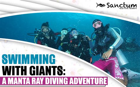 Swimming with Giants: A Manta Ray Diving Adventure