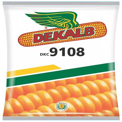 DEKALB 9108 CORN