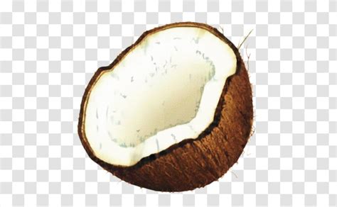 Apple Emoji - Coconut - Creativity Project Transparent PNG