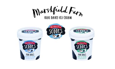 Marshfield Farm Ice Cream launches new flavour in Scoop’s Ice Cream for Dogs range - Pet Product ...