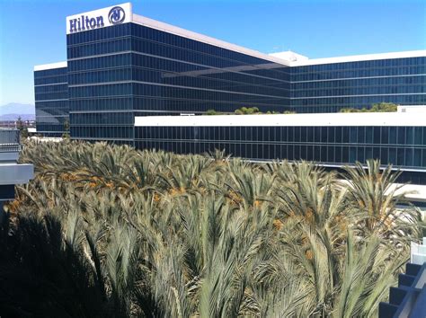 Anaheim Convention Center 3rd Floor View | tops of palm tree… | Flickr