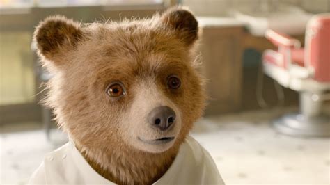 'Paddington 3': Release date, trailer, cast and…