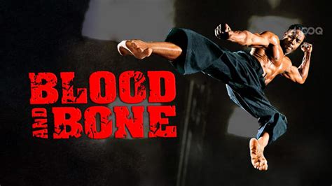 Blood And Bone Full Movie, Watch Blood And Bone Film on Hotstar