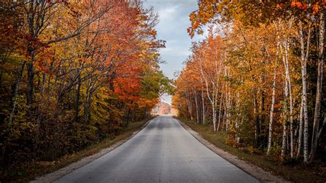 Wallpaper road, trees, autumn, nature, view hd, picture, image