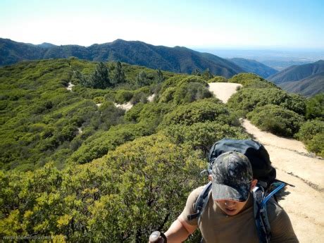 Meathead Movers Trabuco Canyon - Your Trabuco Canyon Moving Company