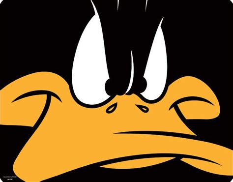 182 best Daffy Duck images on Pinterest | Daffy duck, Cartoons and ...