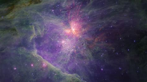 James Webb Telescope Discovers Unknown Objects in Orion Nebula ...