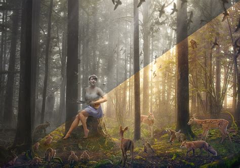 How to Create a Magical Forest Scene — Robert Cornelius