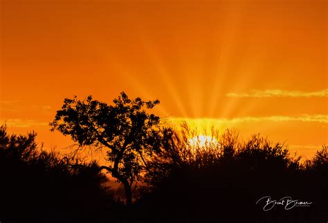 Sunrise and Sunset Photography - Brent Bremer Photography