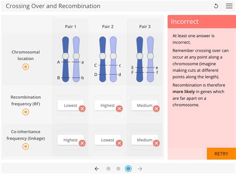 LearnSci LabSim: Crossing Over and Recombination