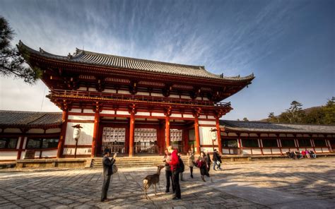 A Day Trip to Nara, Discovering Beautiful Temples and Shrines