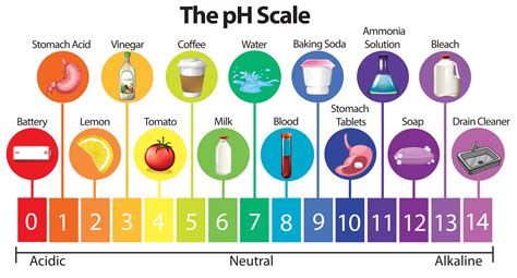 The Science pH Scale 293102 Vector Art at Vecteezy