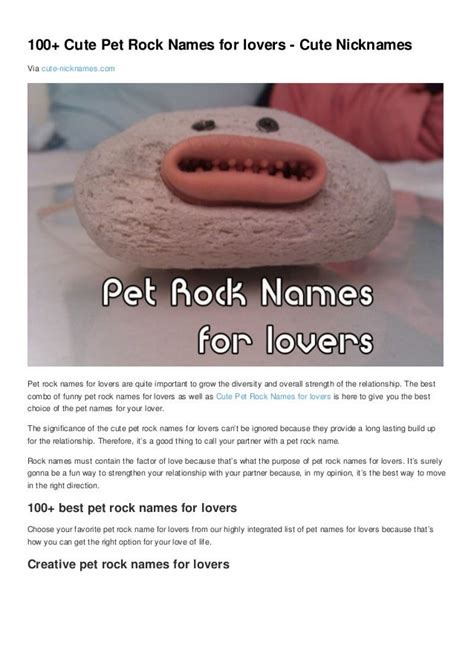 100 cute pet rock names for lovers cute nicknames