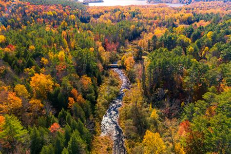 The Northeast’s Fall Foliage May Not Be As Vibrant This Year