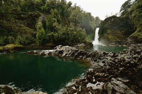 The Huilo-Huilo Biological Reserve, Chile - POD Travels