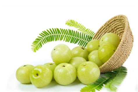 Benefits of Amla | Amla for Hair, Eye and Skin | TAC